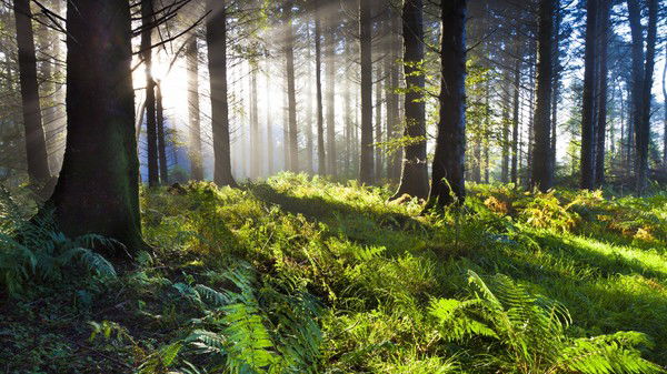 Сергей Настаскин