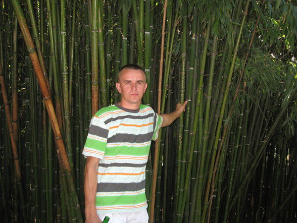 Анохин Владимир