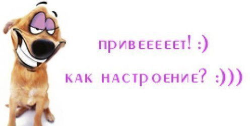 Айнур Жаймахова