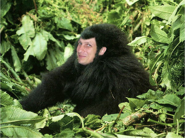 Владимир Чернов