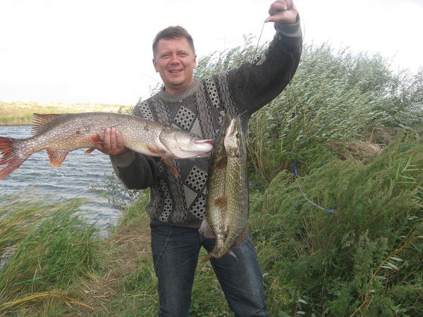 Неизвестно Неизвестно