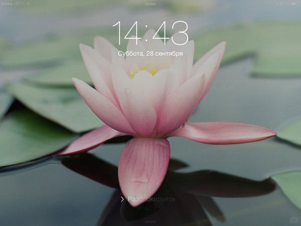 Наталья Коротеева