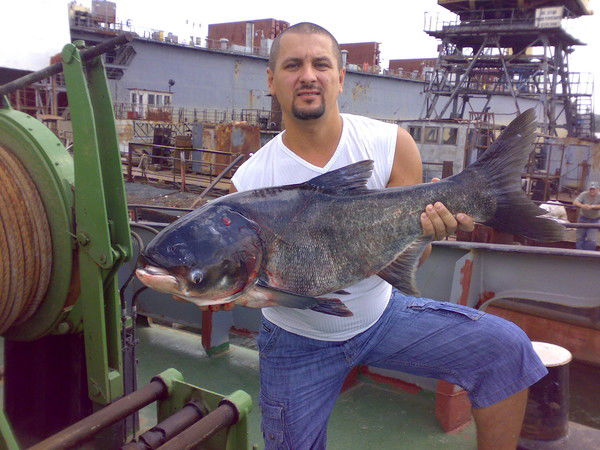 Руслан Небоян