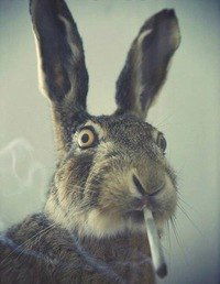 Владик Кравцов