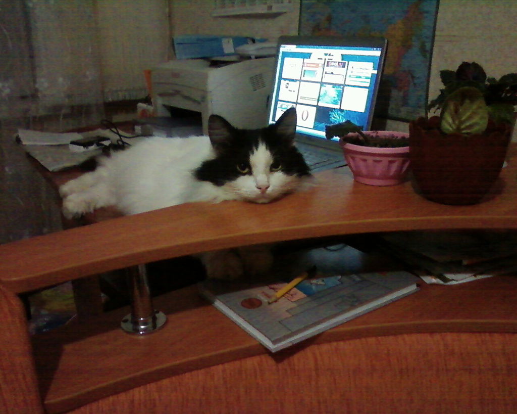 Марина Зубкова