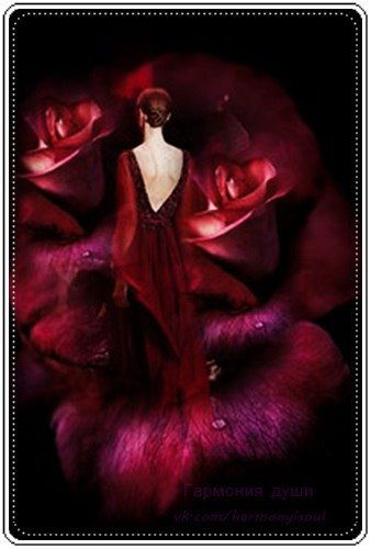 Светлана Устинович