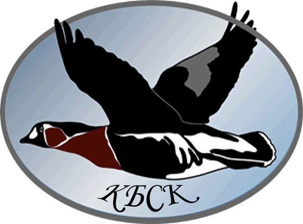 Михаил Калашников