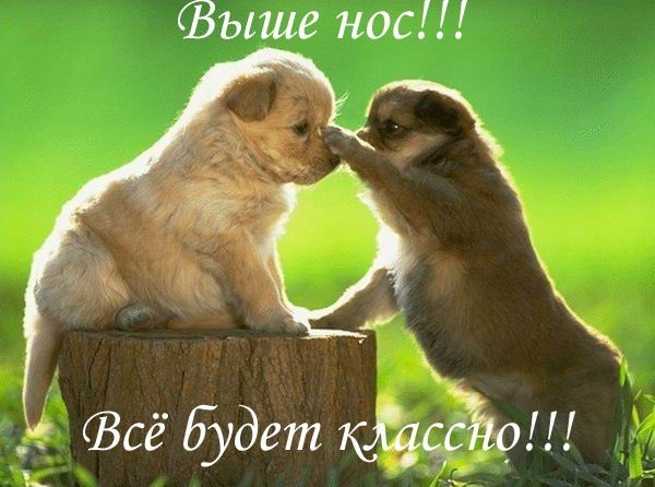 Сосновская Ветстанция