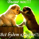 Сосновская Ветстанция