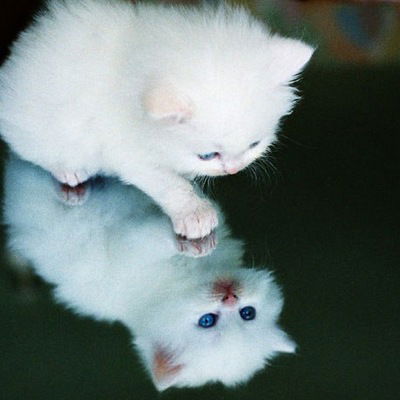 Илья Голянский