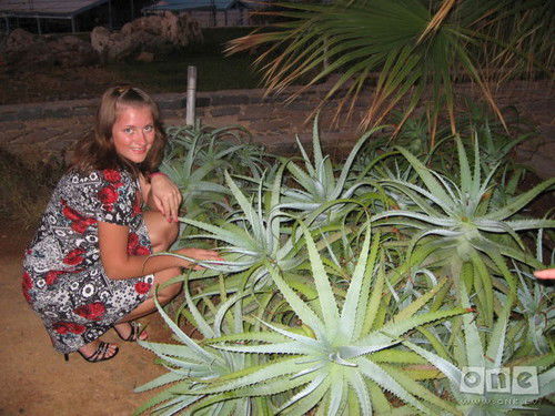 Анастасия Герасимова