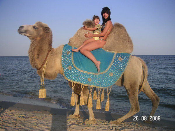 Виктория Стойко