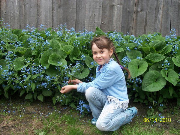 Настя Пилимонкина