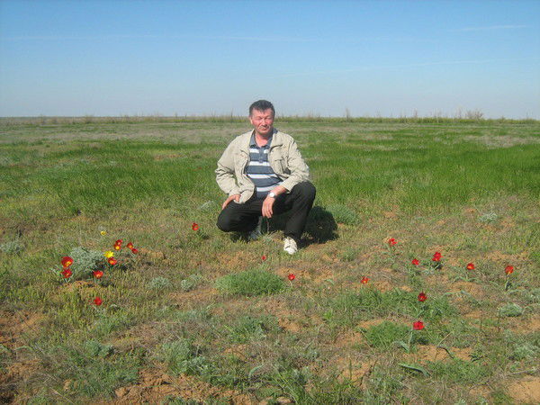 Алексей Иванеев Exuk4Aae