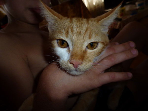 Ирина Калинина