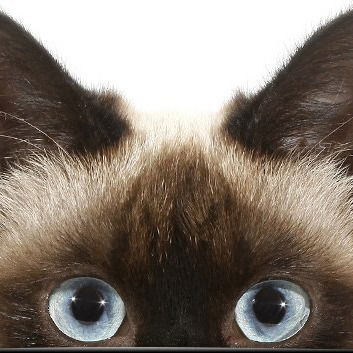 Анна Клондайк