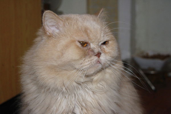 Натусик Россихина