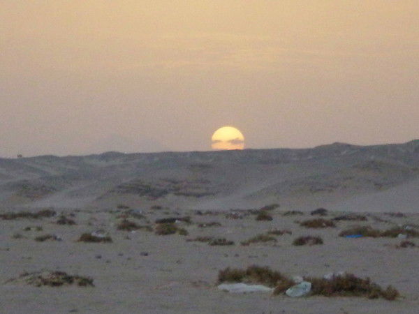 Юля Рыбакова