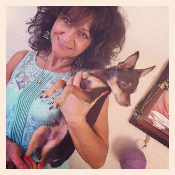 Желтые Тюльпаны