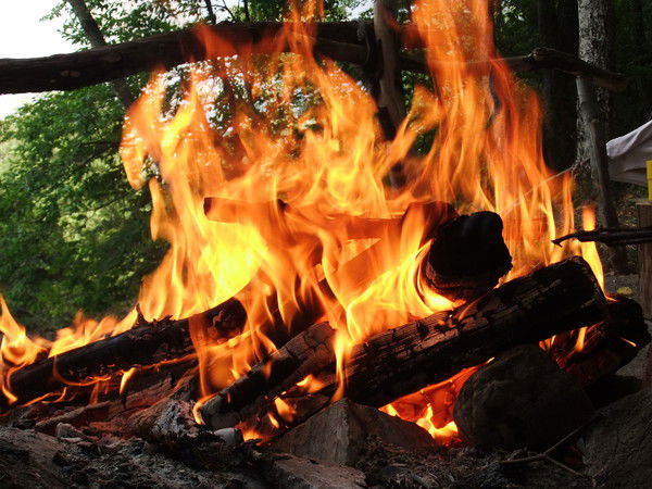 Наталья Синцова