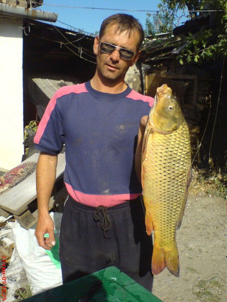 Сергей Кудрявцев