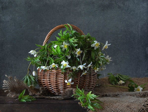 Марина Люстер