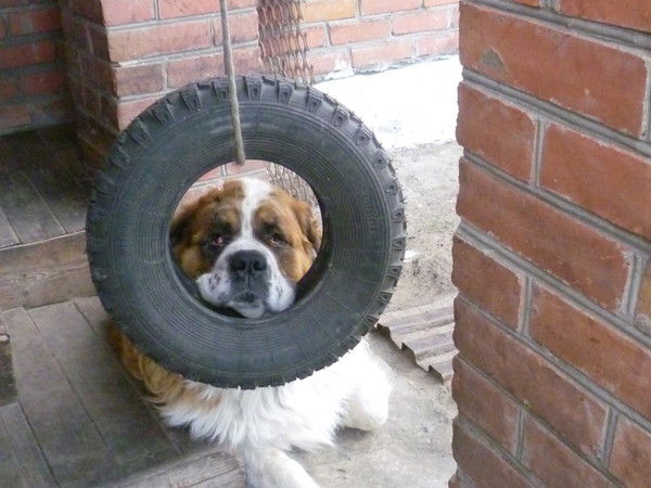 Олег Барабанщиков