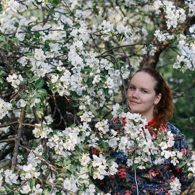 Елена Анисимова