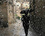 Бушуева Ольга