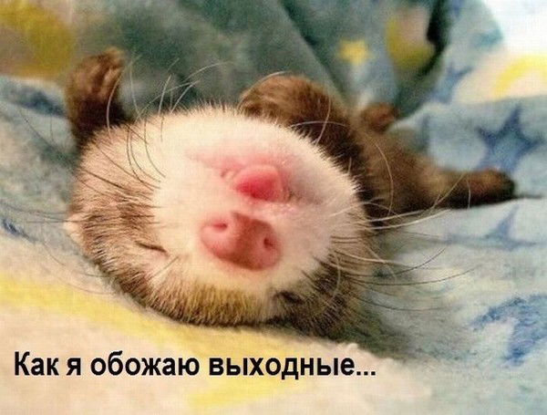 Алина Кирюк