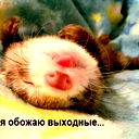 Алина Кирюк