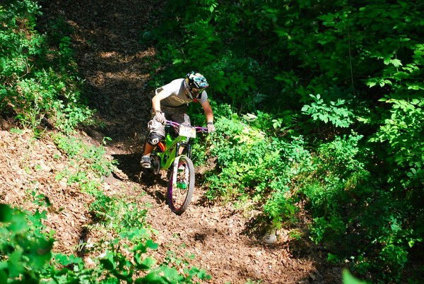 Вовчик Харпак