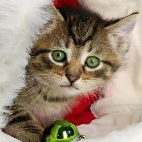 Ирина Кашаева