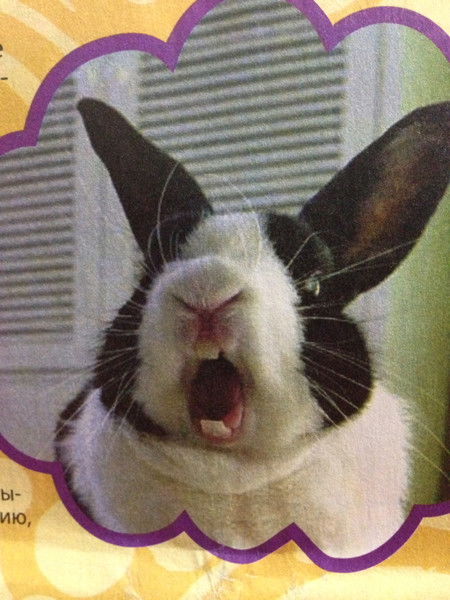 Андрей Поляков