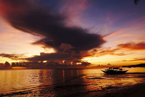 Алена Ларионова