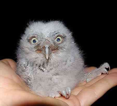 Светлана Моисеева