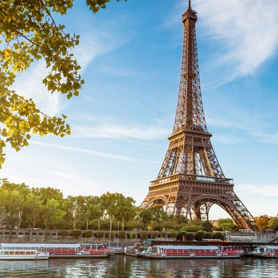 Коля Борзых