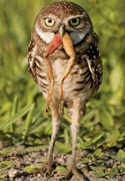 Надежда Хакимова (Хороля)