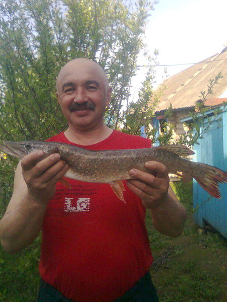 Фархад Идрисов