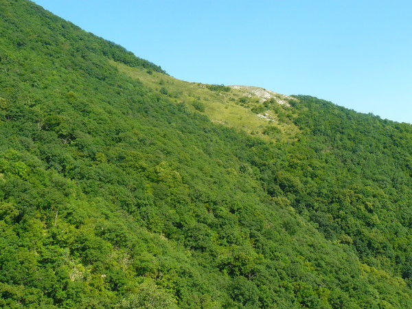 Игорь Гайворонский