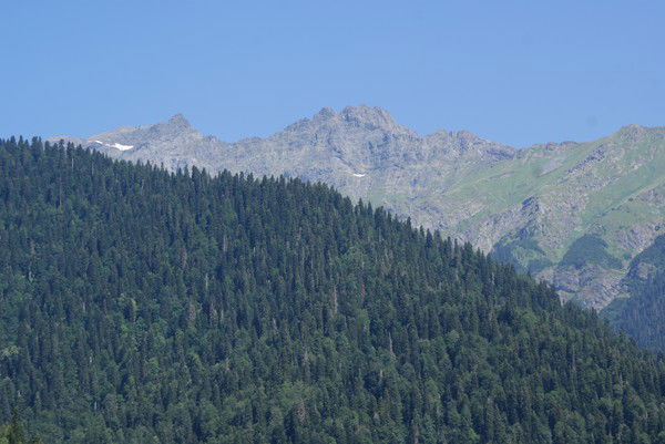 Мария Поздеева