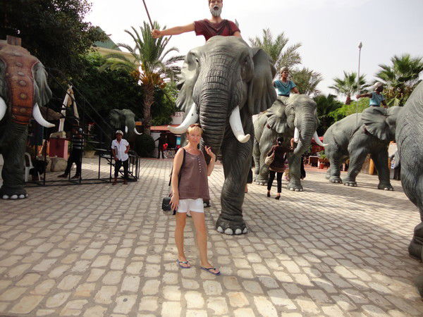 Ирина Шеломенцева