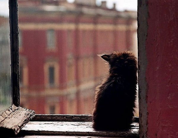 Марина Иванова