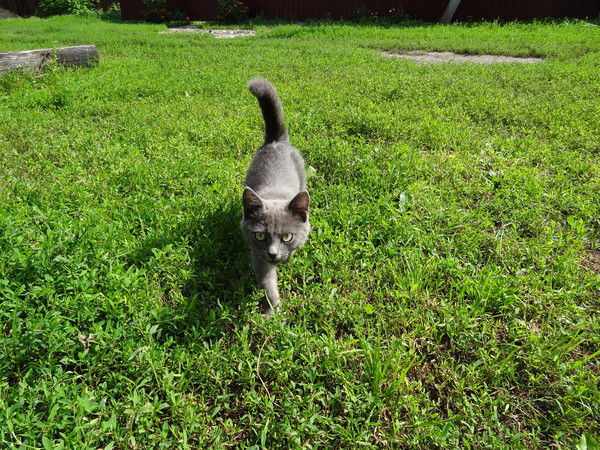 Лида Лунегова