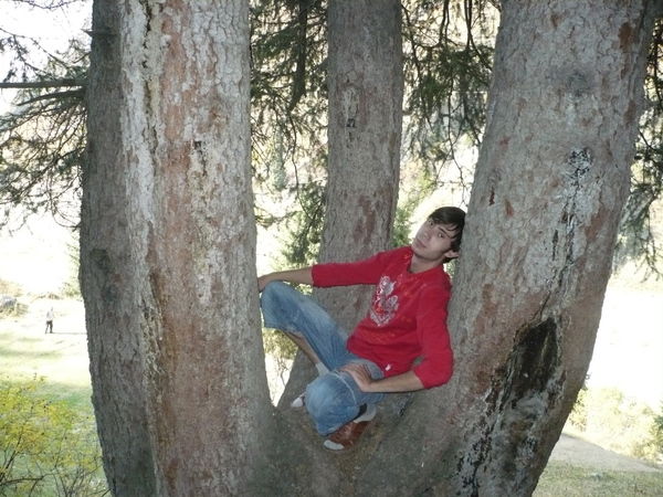 Евгений Шеин