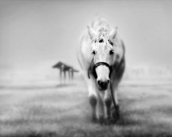 Владимир Сухов