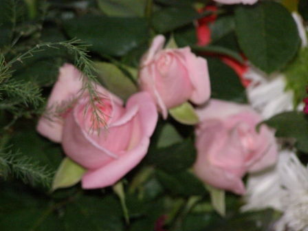 Иван Довгий