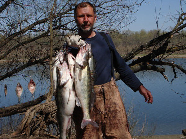 Алексей Пимнев