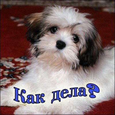 Ольга Димисинова