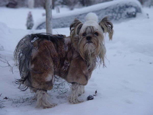 Людмила Жданова